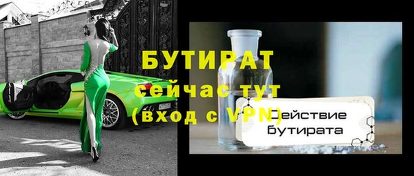 шишки Верея