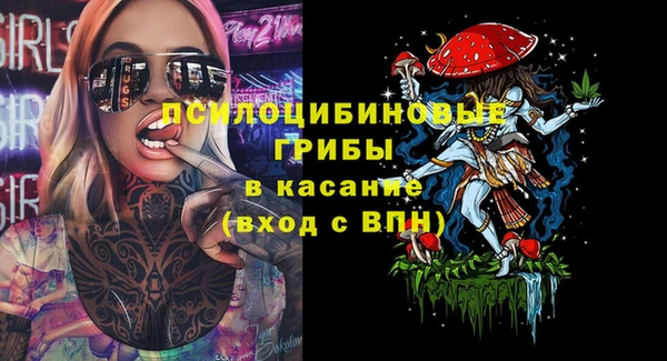 гидропоника Верхний Тагил
