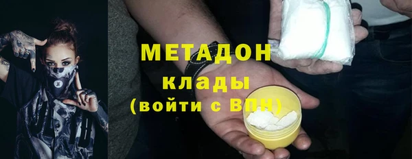 шишки Верея