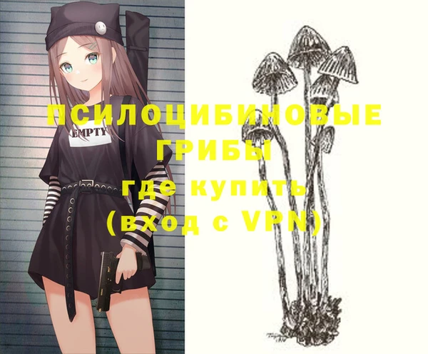 гидропоника Верхний Тагил