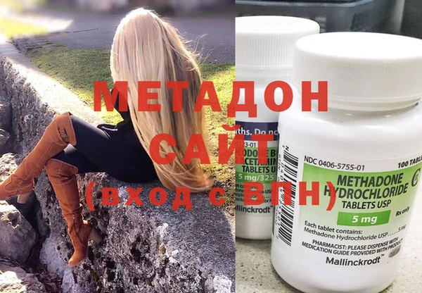 шишки Верея