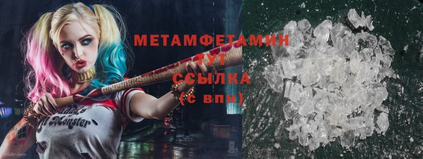 шишки Верея