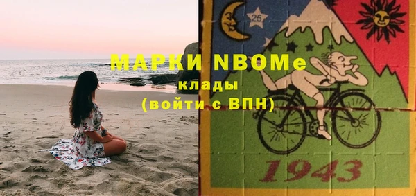 шишки Верея
