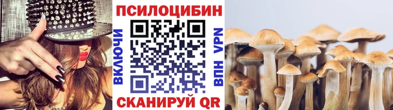 Псилоцибиновые грибы Cubensis кракен ССЫЛКА Ирбит